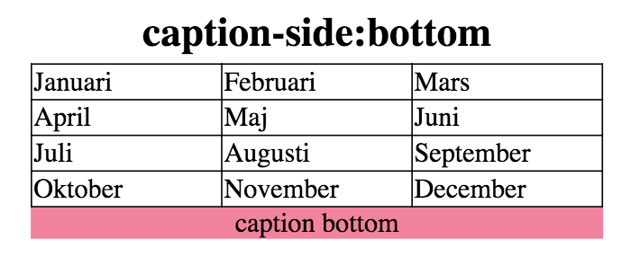 exempel demo för caption-side:bottom