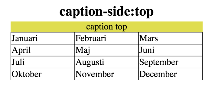 exempel demo för caption-side:top